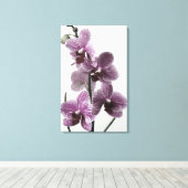 Orchid Canvas Print Leinwanddruck (Insitu (Holzboden))