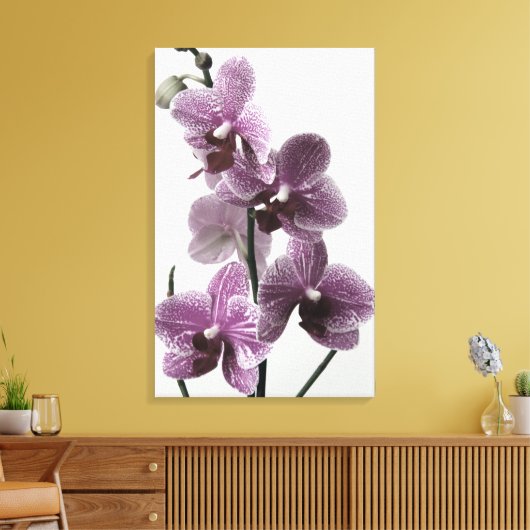 Orchid Canvas Print Leinwanddruck (Insitu (Wohnzimmer))