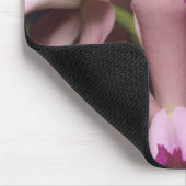 Orchid (Cattleya amethystoglossa), Ost Mousepad (Ecke)