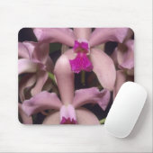 Orchid (Cattleya amethystoglossa), Ost Mousepad (Mit Mouse)