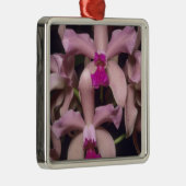 Orchid (Cattleya amethystoglossa), Ost Silbernes Ornament (Rechts)