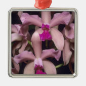 Orchid (Cattleya amethystoglossa), Ost Silbernes Ornament (Vorne)