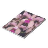 Orchid (Cattleya amethystoglossa), östlich Notizblock (Rotiert)