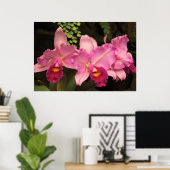 Orchid - Cattleya - Magenta Splendor Poster (Heimbüro)