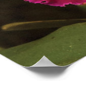 Orchid - Cattleya - Magenta Splendor Poster (Ecke)