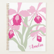 Orchid cattleya rosa grüne weiße Grafik Name