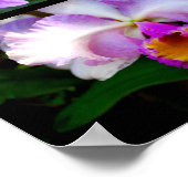 Orchid Collage Poster (Ecke)