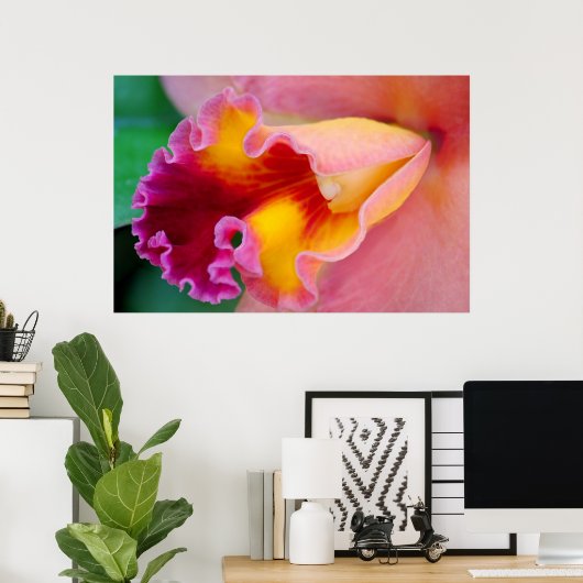 Orchid Colors Poster (Heimbüro)