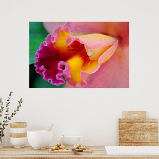 Orchid Colors Poster (Küche)