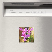 Orchid Crepe Myrtle Tree Magnet (In Situ (Geschirrspüler))