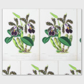 "Orchid-Dark-lila-black" Geschenkpapier (Flach)
