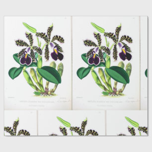 "Orchid-Dark-lila-black" Geschenkpapier