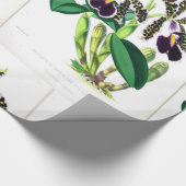 "Orchid-Dark-lila-black" Geschenkpapier (Ecke)