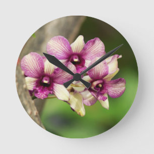 Orchid Delight Runde Wanduhr