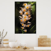 Orchid - Dendrobium Orchid Poster (Küche)