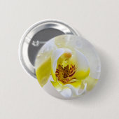 Orchid Dew Button (Vorne & Hinten)