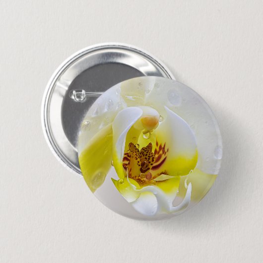 Orchid Dew Button (Vorne & Hinten)