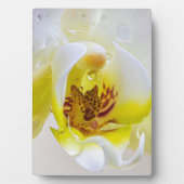 Orchid Dew Fotoplatte (Vorderseite)