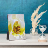 Orchid Dew Fotoplatte (Seite)