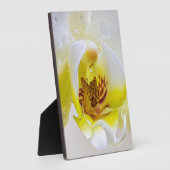 Orchid Dew Fotoplatte (Seite)