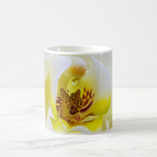 Orchid Dew Kaffeetasse