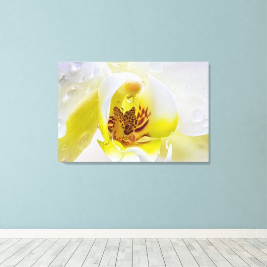 Orchid Dew Leinwanddruck (Insitu (Holzboden))