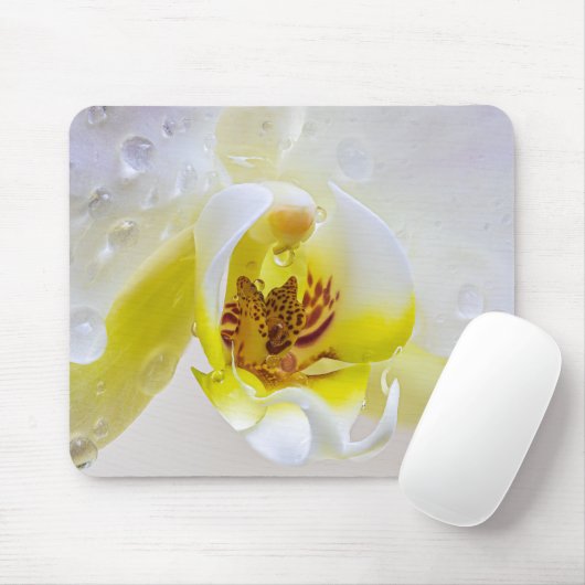 Orchid Dew Mousepad (Mit Mouse)