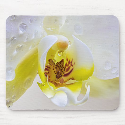 Orchid Dew Mousepad (Vorne)