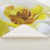 Orchid Dew Sherpadecke (3/4)