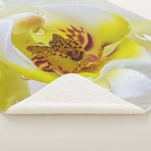 Orchid Dew Sherpadecke (3/4)