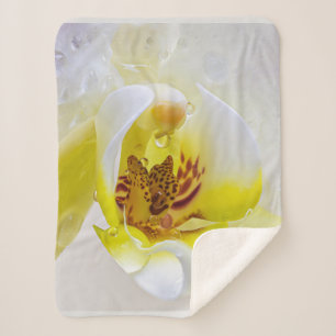 Orchid Dew Sherpadecke