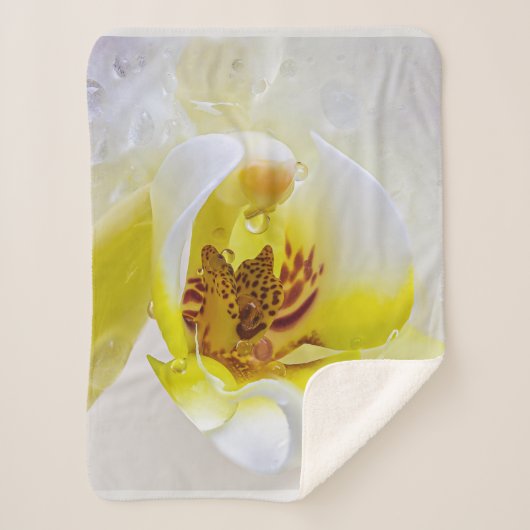 Orchid Dew Sherpadecke (Vorderseite)