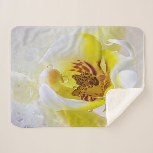 Orchid Dew Sherpadecke (Vorderseite (Horizontal))