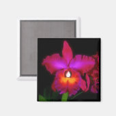 Orchid Dream Magnet (Vorderseite/Rückseite)