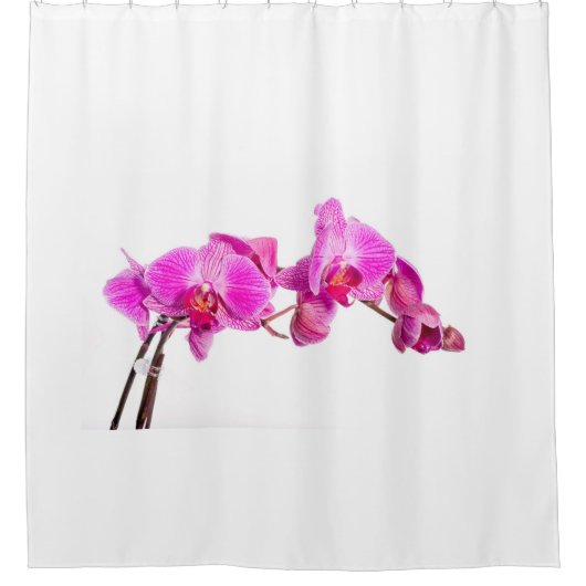 Orchid Duschvorhang (Vorderseite)