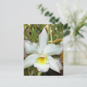 Orchid Eight Postkarte (Stehend Vorderseite)