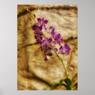 Orchid - einfach herrlich poster