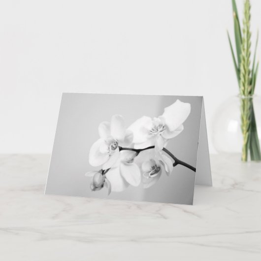 Orchid Einladung (Vorderseite)