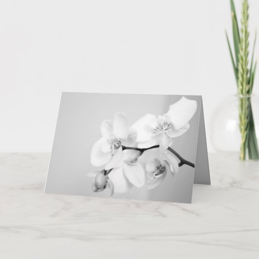 Orchid Einladung (Rückseite)