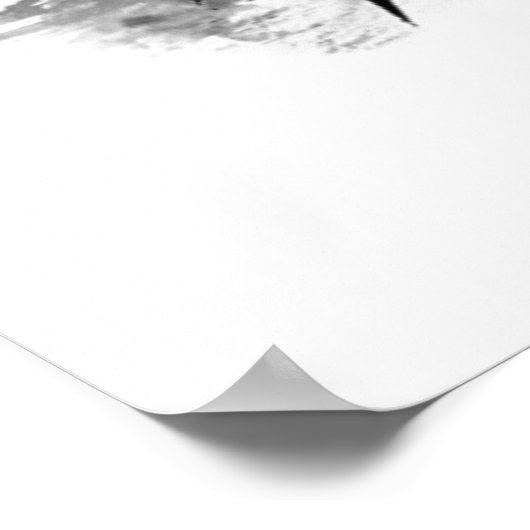 Orchid Elegance Poster (Ecke)