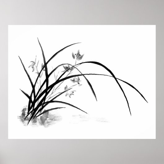 Orchid Elegance Poster (Vorne)