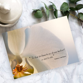 Orchid Elegance Vielen Dank für Ihr Beileid Hinwei Dankeskarte