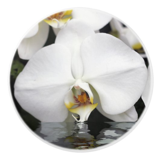 Orchid entsteht aus Wasserkabinett und Schubladen Keramikknauf (Vorderseite)