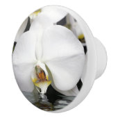 Orchid entsteht aus Wasserkabinett und Schubladen Keramikknauf (Rechts)