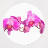 Orchid Etiketten (Design 2)