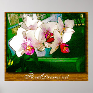 Orchid Explosion Poster