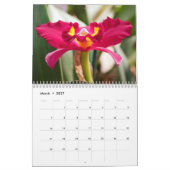 Orchid Extravaganza Kalender (Mär 2027)