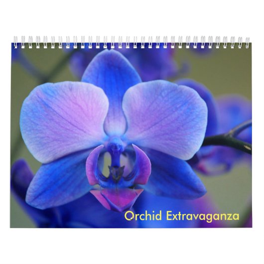 Orchid Extravaganza Kalender (Titelbild)