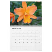 Orchid Extravaganza Kalender (Feb 2026)