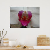 Orchid Face Poster (Küche)